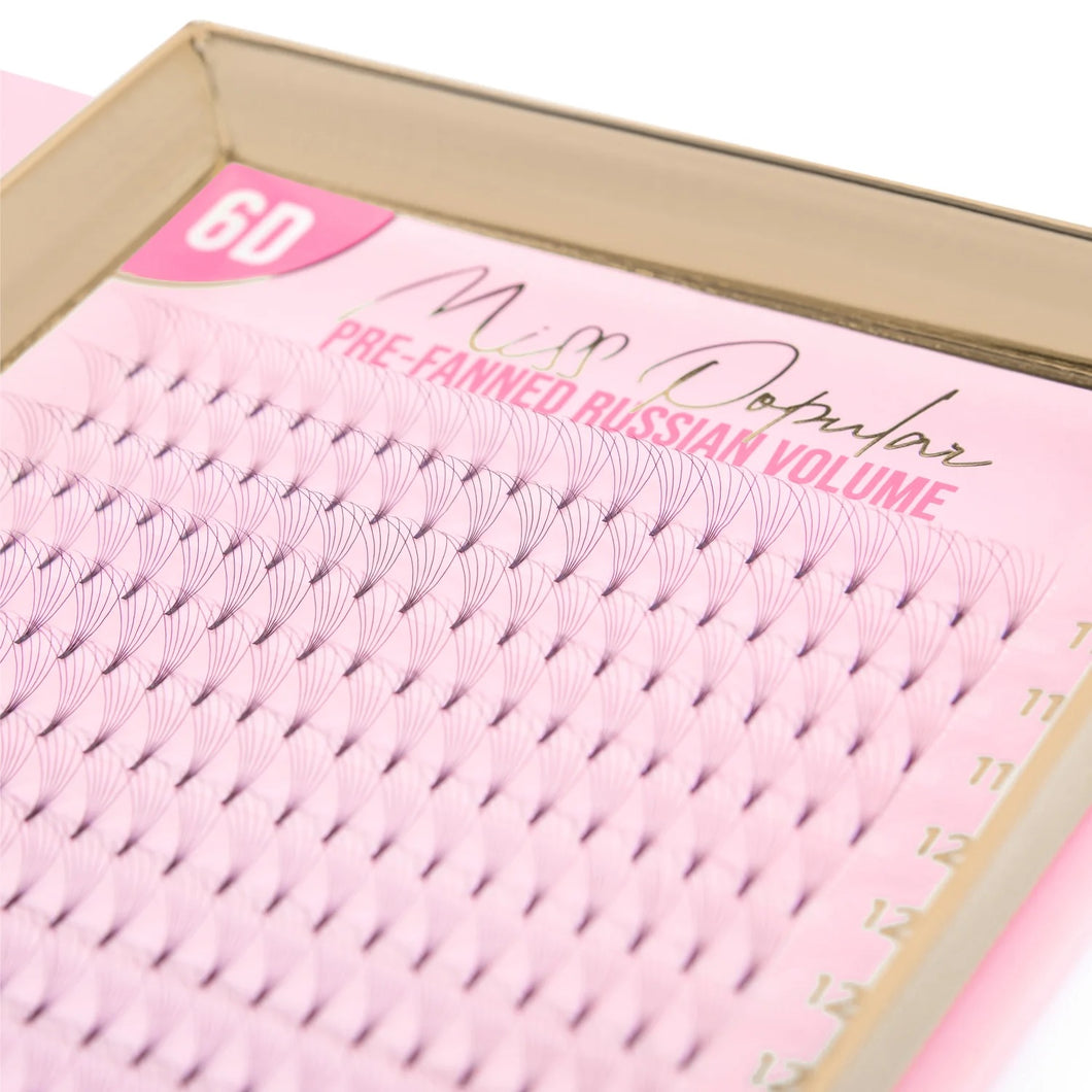 6D Pre-Fanned Russian Volume 6D Lash Trays | Single Length Eyelash Extension C & D Curl